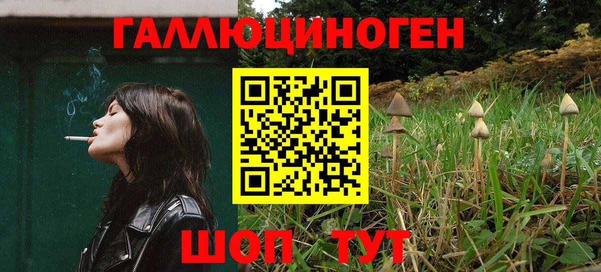 Псилоцибиновые грибы мухоморы  Вход с VPN  Среднеуральск 